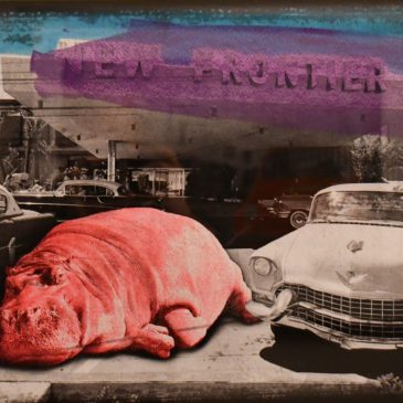 Lars Tunebo ”Who parked the pink hippo”