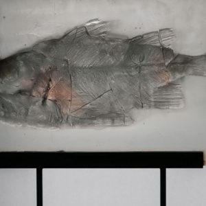 Karel Becvar, "Fossil fisk", glas, 36 000 kr